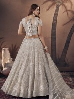 Light Chiku Premium Net Lehenga Choli